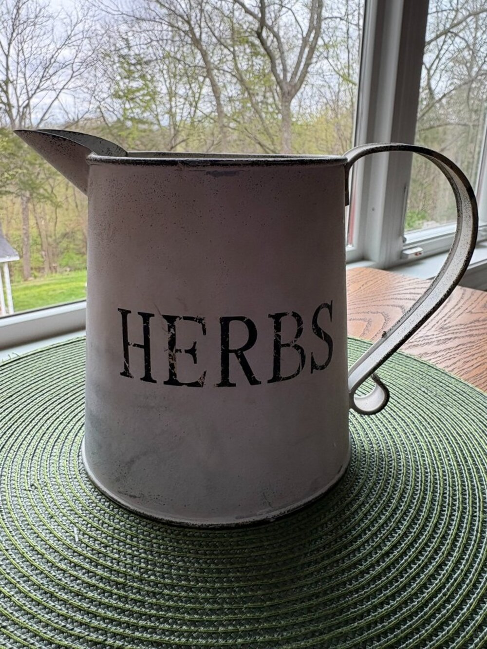Rustic metal watering can/planter/vase. 6" tall, 6+" bottom diameter